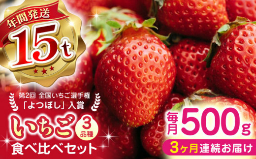 【先行予約】【全3回定期便】いちご 食べ比べセット 総計1.5kg ( 250g × 2P × 3回 ) 農園直送 産地直送 熊本県産 山都町産 イチゴ 苺 ストロベリー フルーツ 果物 【なかはた農園】[YBI013]  1023098 - 熊本県山都町