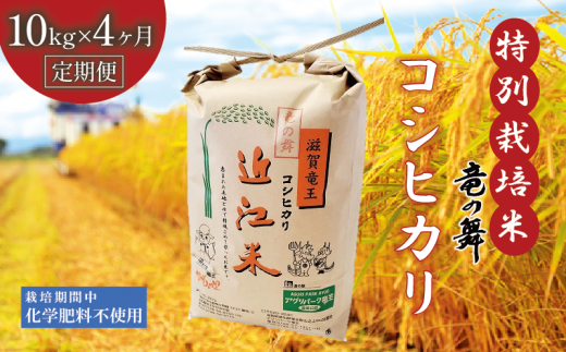 [定期便4回コース] 新米 こしひかり 白米 10kg×4回 2024年産 竜の舞 化学肥料不使用 特別栽培米 国産 安心 安全 近江米 米 お米 白米 お弁当 玄米 産地直送 滋賀県 竜王町 送料無料