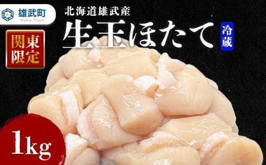 【関東限定！】北海道雄武町産　生玉ほたて500ｇ×2塩水パック（冷蔵）｜関東限定 生玉ホタテ 生ホタテ　大粒 ホタテ 帆立 ほたて 新鮮 500g×2 1ｋg 生 冷蔵 塩水パック オホーツク 北海道 雄武町 雄武 刺身 魚【07132】