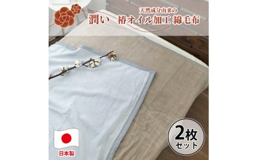 【2枚組】椿オイル加工 ふんわり綿毛布  シングルサイズ（140×200cm） CNM-101-2P 1446130 - 和歌山県和歌山市