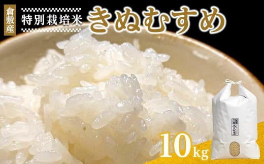 [数量限定]令和5年産 倉敷産特別栽培米きぬむすめ 10kg