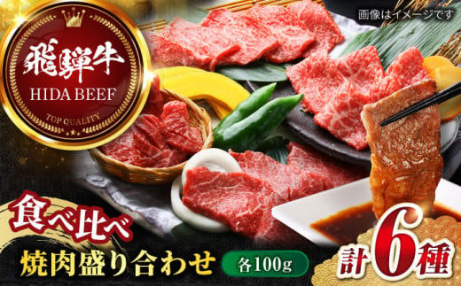 【飛騨牛】食べ比べ焼肉盛り合わせ6種　各100g 和牛 ミスジ イチボ 岐阜市/丸福商店 [ANBO027] 558526 - 岐阜県岐阜市