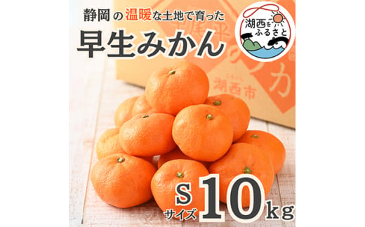 ＜先行受付＞＜11月より順次出荷予定＞早生みかん約10kg Sサイズ〔鈴木農園〕【1510125】 1360918 - 静岡県湖西市