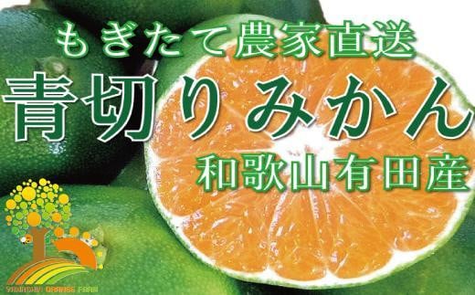こだわりの 青切りみかん 約7.5kg【2024年9月下旬より順次発送】 595710 - 和歌山県印南町