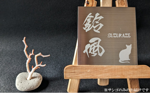 室戸産サンゴ原木 ６ｇ（２匁） 白珊瑚 インテリア オブジェ 国産 魔除け 邪気払い パワーストーン アクアリウム