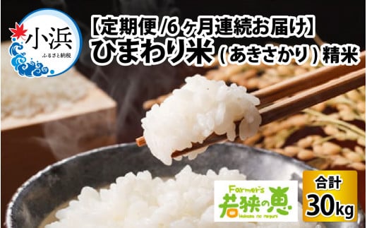 [先行予約][定期便][6ヶ月連続お届け][令和6年産 新米] 福井県産ひまわり米 白米5kg×6回 若狭の恵[10月中旬より順次発送]