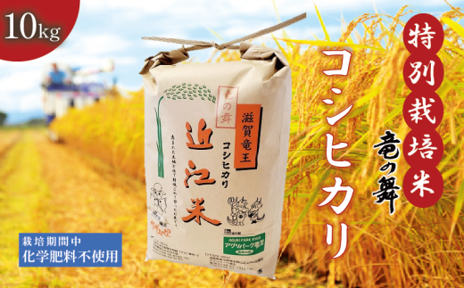 新米 【令和6年9月上旬より順次発送】 こしひかり 白米 10kg  2024年産 竜の舞 化学肥料不使用 特別栽培米 国産 安心 安全 近江米 米 お米 白米 お弁当 玄米 産地直送 滋賀県 竜王町 送料無料 897073 - 滋賀県竜王町