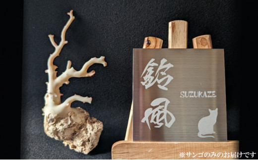 室戸産サンゴ原木 約171ｇ（46匁） 白珊瑚