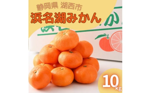 ＜2024年12月発送＞浜名湖の「普通温州みかん」10kg【1537443】 1448133 - 静岡県湖西市