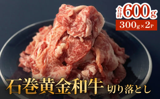 牛肉 石巻 黄金 和牛 切り落とし 300g×2P 赤身 国産 美味しい 使いやすい 小分け 肉 お肉 細切れ おかず すき焼き 焼肉 冷凍 1445422 - 宮城県石巻市