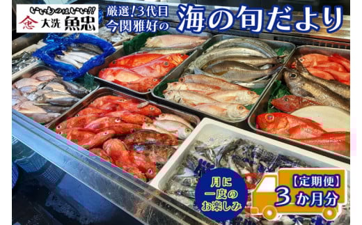 定期便 3ヶ月 鮮魚店「魚忠」 厳選鮮魚セット 大洗 厳選 旬 魚 さかな