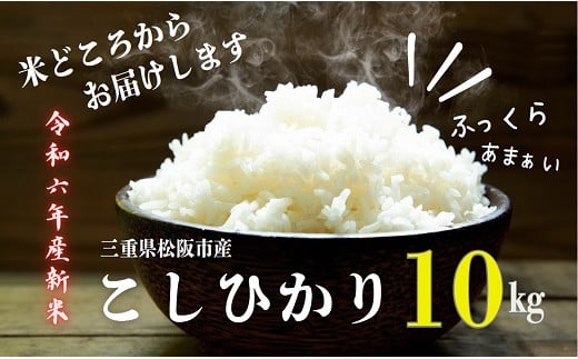 松阪産　コシヒカリ　精米10kg【令和6年産】【1.5-34】 1446576 - 三重県松阪市