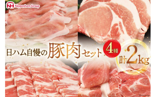 肉 豚肉 宮崎県産豚肉4種セット 詰め合わせ 2kg [日本ハムマーケティング 宮崎県 日向市 452060687] 冷凍 小分け 個包装 セット とんかつ しゃぶしゃぶ 焼き肉 細切れ 焼肉