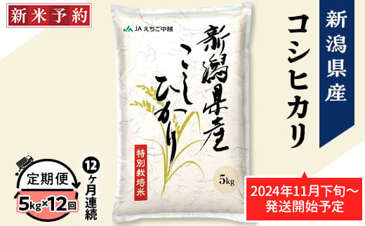 新潟県長岡市のふるさと納税 75-AN05Z【12ヶ月連続お届け】新潟県長岡産コシヒカリ5kg（特別栽培米）