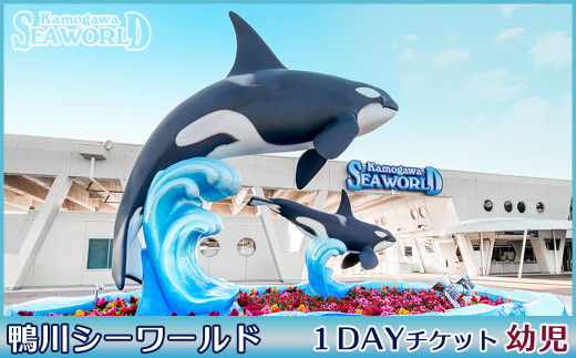 日本を代表する水族館「鴨川シーワールド」で最高の思い出作りを！
鴨川シーワールド １DAYチケット／幼児（４歳以上）