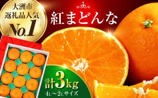 フルーツ王国愛媛県からお届け！ゼリーのようなとろけるみかん！ 紅まどんな 4L～2L玉サイズ 約3kg化粧箱入（8玉～12玉入）