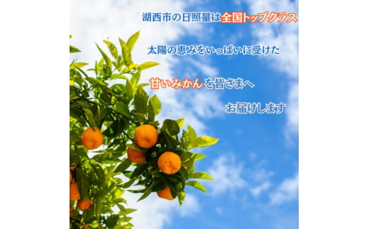 静岡県湖西市のふるさと納税 ＜先行受付＞＜11月より順次出荷予定＞早生みかん約5kg Sサイズ〔鈴木農園〕【1510092】