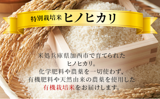 新米お届け!】ヒノヒカリ 玄米 30kg エコ 環境にやさしい おいしい お米 事業者支援 玄米 精米 国産 ごはん ご飯 白飯 小分け -  兵庫県加西市｜ふるさとチョイス - ふるさと納税サイト