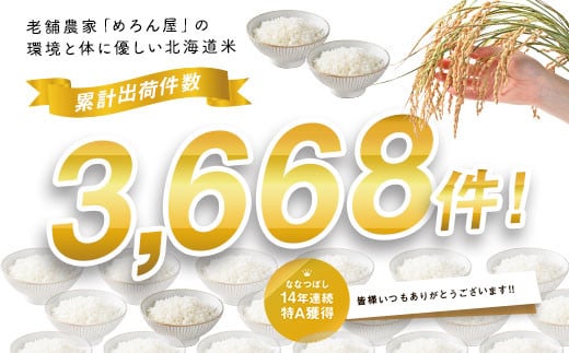 北海道中富良野町のふるさと納税 【2024年度米】ななつぼし　5kg×2袋