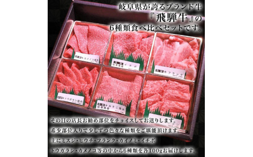 岐阜県岐阜市のふるさと納税 【飛騨牛】食べ比べ焼肉盛り合わせ6種　各100g 和牛 ミスジ イチボ 岐阜市/丸福商店 [ANBO027]