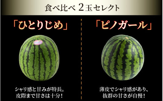 福井県あわら市のふるさと納税 【先行予約】抜群の甘さ！佐藤農園の小玉スイカ 食べ比べセット 2玉（計3.6kg～5kg）／ 秀品 農家直送 有機肥料 低農薬 ※2025年6月上旬より順次発送予定