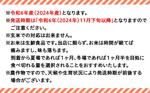 新潟県長岡市のふるさと納税 75-AN05Z【12ヶ月連続お届け】新潟県長岡産コシヒカリ5kg（特別栽培米）