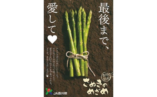 さぬきのめざめ（夏芽）【令和7年6月中旬頃より発送！予約受付中！】【A-27】 - 香川県多度津町｜ふるさとチョイス - ふるさと納税サイト