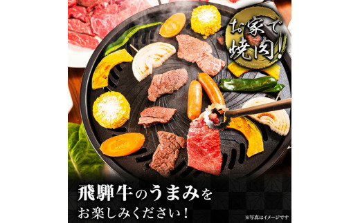 岐阜県岐阜市のふるさと納税 【飛騨牛】食べ比べ焼肉盛り合わせ6種　各100g 和牛 ミスジ イチボ 岐阜市/丸福商店 [ANBO027]