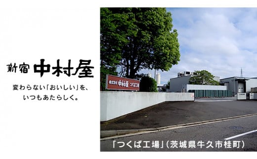 茨城県牛久市のふるさと納税 新宿 中村屋 レトルト カリー 食べ比べ セット 10種 13個入 人気 詰合せ 洋食 時短 カレー インドカレー ビーフ キーマ チキン バター チキン ハヤシ ベジタブル 野菜 長期保存 災害用 保存食