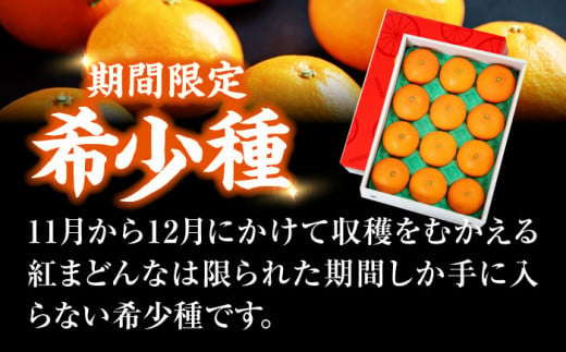 フルーツ王国愛媛県からお届け！ゼリーのようなとろけるみかん！ 紅まどんな 4L～2L玉サイズ 約3kg化粧箱入（8玉～12玉入）