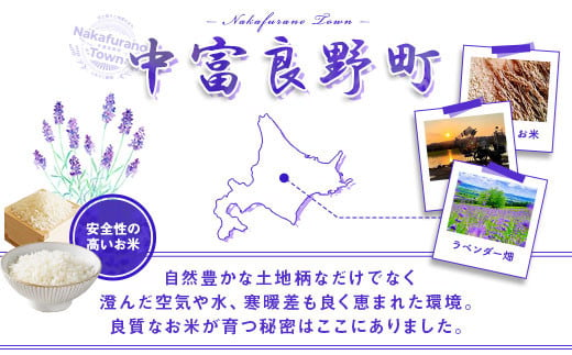 北海道中富良野町のふるさと納税 【2024年度米】ななつぼし　5kg×2袋