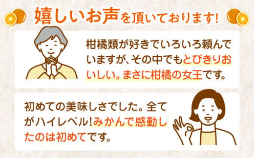 愛媛県産 峯田農園のとろける宝石みかん「まどんな」2L～3Lサイズ 10～12玉