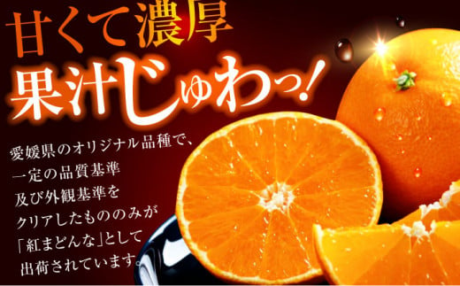 フルーツ王国愛媛県からお届け！ゼリーのようなとろけるみかん！ 紅まどんな 4L～2L玉サイズ 約3kg化粧箱入（8玉～12玉入）