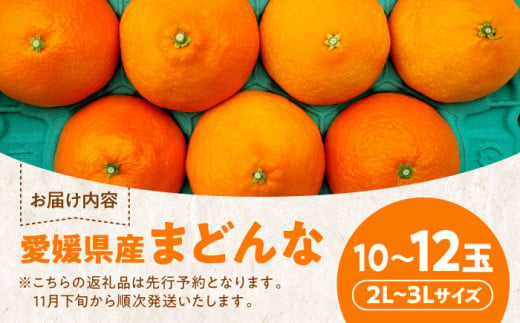 愛媛県産 峯田農園のとろける宝石みかん「まどんな」2L～3Lサイズ 10～12玉