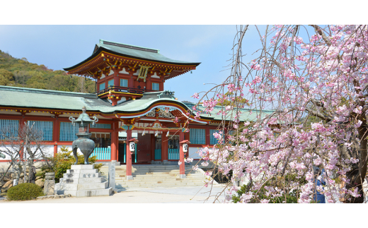 山口県防府市向島産＞吟醸海老活き500g(15～28尾前後)【1375245】 - 山口県防府市｜ふるさとチョイス - ふるさと納税サイト