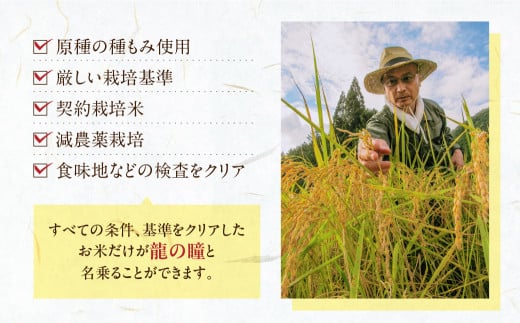 岐阜県下呂市のふるさと納税 予約受付【2024年産米】＜満天☆青空レストランでご紹介＞2kg×1袋 飛騨産・龍の瞳(いのちの壱) 株式会社龍の瞳直送 米 2キロ 令和6年産 精米 ブランド米 りゅうのひとみ 龍の瞳 下呂市 下呂温泉 竜の瞳 下呂