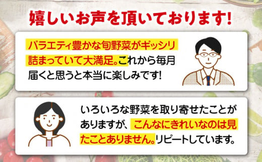 【全12回定期便】【シェフの目線】栽培期間中農薬不使用！大満足 旬のお野菜セット