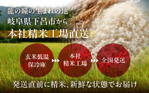 岐阜県下呂市のふるさと納税 予約受付【2024年産米】＜満天☆青空レストランでご紹介＞2kg×1袋 飛騨産・龍の瞳(いのちの壱) 株式会社龍の瞳直送 米 2キロ 令和6年産 精米 ブランド米 りゅうのひとみ 龍の瞳 下呂市 下呂温泉 竜の瞳 下呂