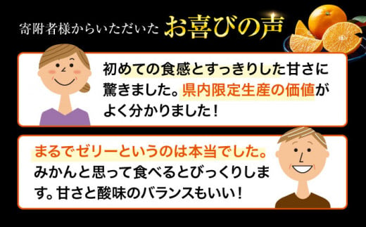 フルーツ王国愛媛県からお届け！ゼリーのようなとろけるみかん！ 紅まどんな 4L～2L玉サイズ 約3kg化粧箱入（8玉～12玉入）