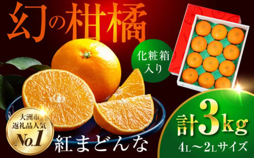 フルーツ王国愛媛県からお届け！ゼリーのようなとろけるみかん！ 紅まどんな 4L～2L玉サイズ 約3kg化粧箱入（8玉～12玉入）