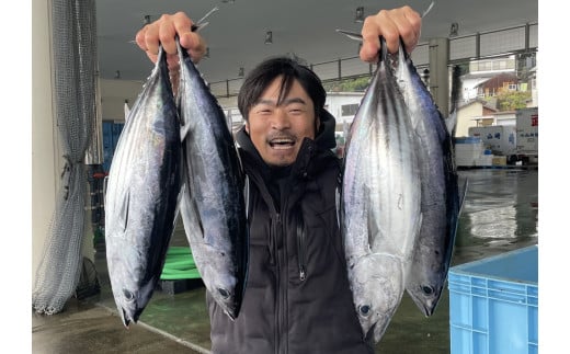 高知県土佐清水市のふるさと納税 藁焼きかつおのたたき ２節（合計約500g～600g）カツオのたたき 鰹 刺身 高知 海産 冷凍【R00276】