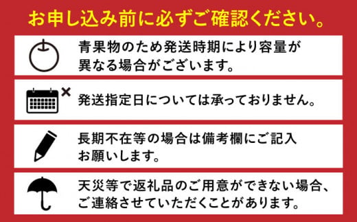 豊水5kg なし 梨 旬 おいしい