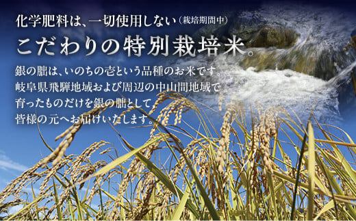 新米予約受付】 銀の朏 10kg×1（計10kg）【2024年産米】≪テレビで紹介!!幻の米≫ 皇室献上米 化学肥料不使用 いのちの壱 精米  10キロ×1袋 計 10キロ お米 令和6年産 銀のみかづき ぎんのみかづき いのちのいち 高級米 米 高級 - 岐阜県下呂市｜ふるさとチョイス ...