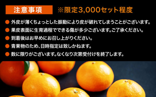 フルーツ王国愛媛県からお届け！ゼリーのようなとろけるみかん！ 紅まどんな 4L～2L玉サイズ 約3kg化粧箱入（8玉～12玉入）