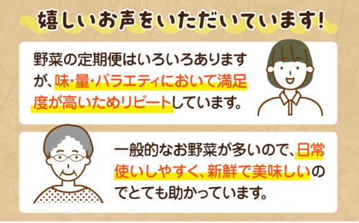 【全12回定期便】旬を味わう新鮮野菜と果物の詰め合わせセレクションボックス（8種以上）