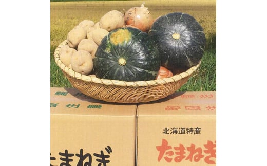 【士別農園】野菜詰め合わせ合計10kg 1446830 - 北海道士別市