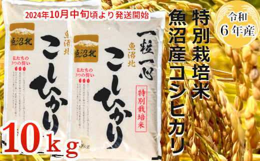 22P299G 【令和6年産】特別栽培米 魚沼産コシヒカリ10kg(5kg×2袋)（(有)グリーン） 白米 魚沼 米 772676 - 新潟県小千谷市