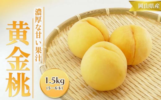 桃 2024年 先行予約 黄金桃 1.5kg 5～6玉 もも モモ 岡山 国産 フルーツ 果物 ギフト 桃茂実苑 776491 - 岡山県岡山市