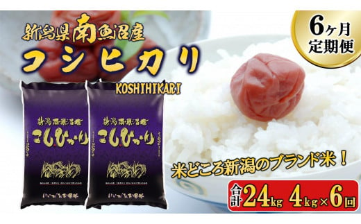 【令和6年産新米予約／令和6年11月上旬より順次発送】【F-6定期便】南魚沼産コシヒカリ4kg×6回 1448621 - 新潟県南魚沼市