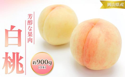 桃 2024年 先行予約 白桃 3玉 合計約900g （1玉約300g） もも モモ 岡山 国産 フルーツ 果物 ギフト 桃茂実苑 776482 - 岡山県岡山市